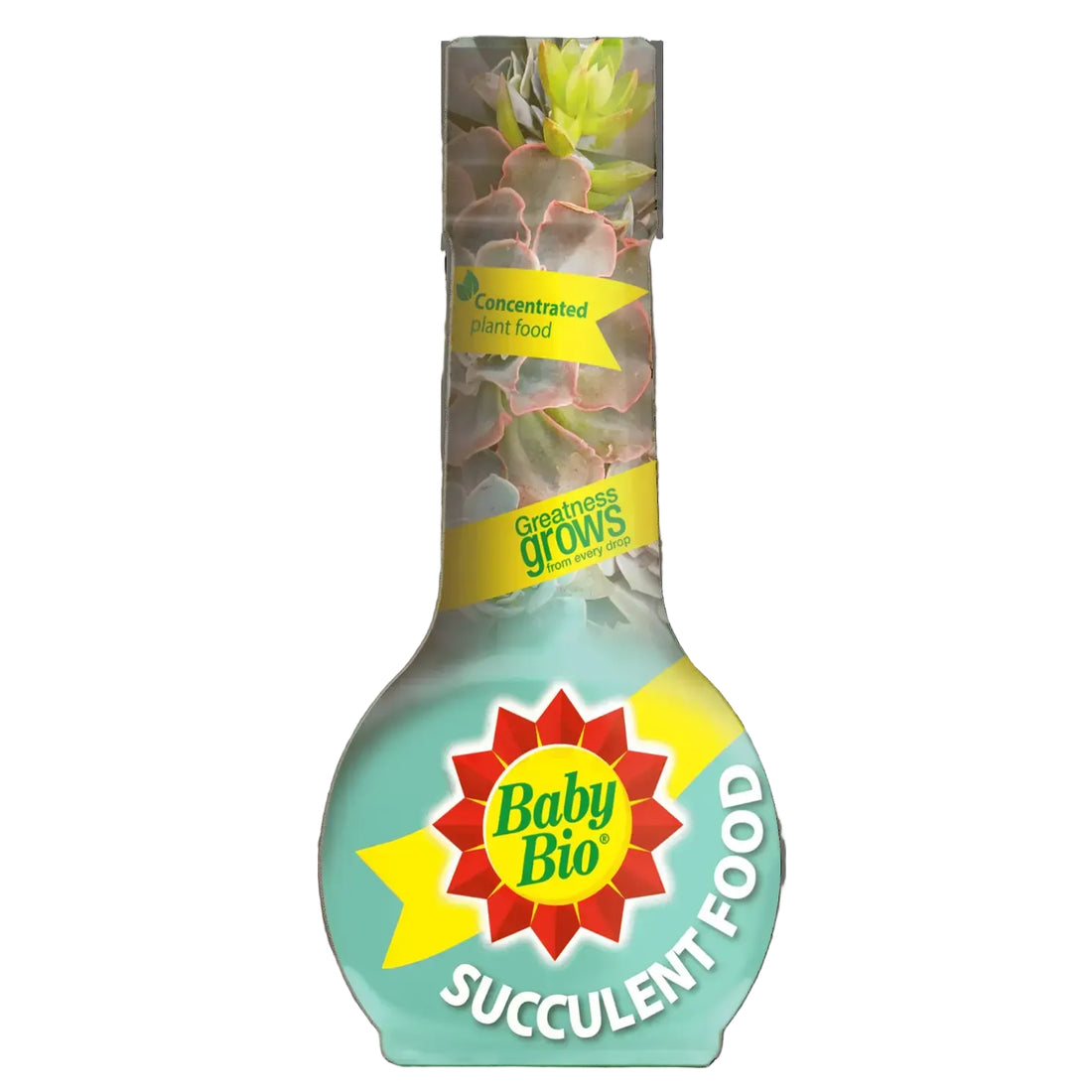 Baby Bio Succulent Food 175ml