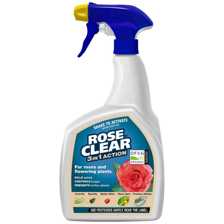 Rose Clear 3-in-1 Action Ultra Gun 800ml