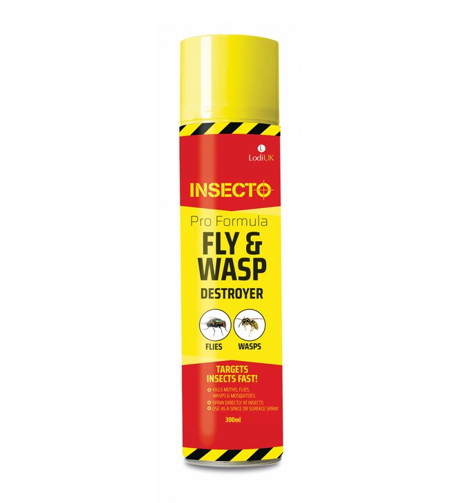 Insecto Fly &amp; Wasp Killer Spray - 300ml