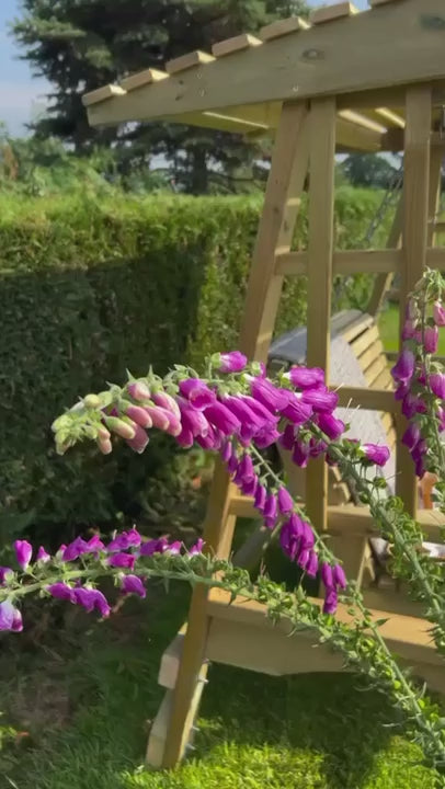 Churnet Valley Antoinette 2 Seater Garden Swing